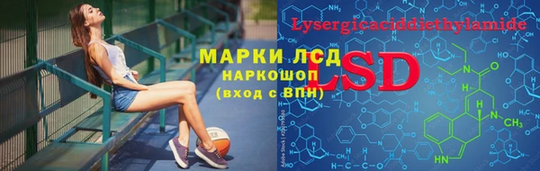 ГАЛЛЮЦИНОГЕННЫЕ ГРИБЫ Новозыбков