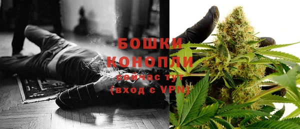 ГАЛЛЮЦИНОГЕННЫЕ ГРИБЫ Новозыбков