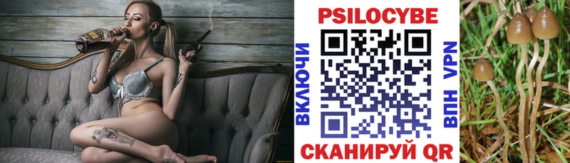 Псилоцибиновые грибы GOLDEN TEACHER  OMG вход  Осташков 
